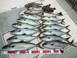 ふじしめ丸 釣果