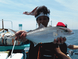 清和丸 釣果
