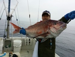 鯛多ニック 釣果