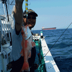 清和丸 釣果