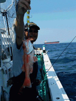 清和丸 釣果