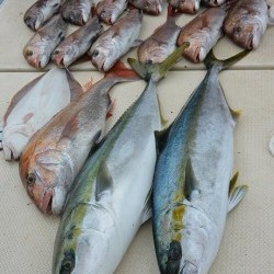 宝生丸 釣果