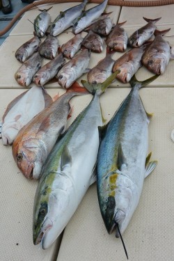 宝生丸 釣果