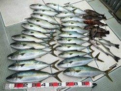 ふじしめ丸 釣果