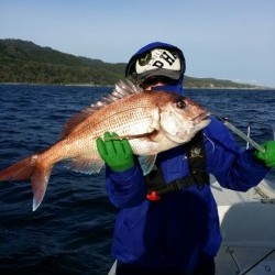 鯛多ニック 釣果