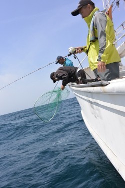 宝生丸 釣果