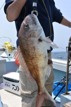 宝生丸 釣果