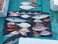 清和丸 釣果