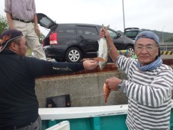 清和丸 釣果