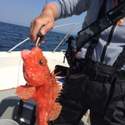 Blue.win 海人丸 釣果