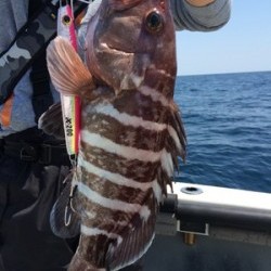 Blue.win 海人丸 釣果