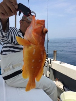 Blue.win 海人丸 釣果