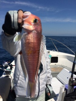 Blue.win 海人丸 釣果