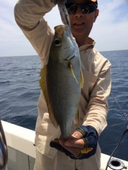 Blue.win 海人丸 釣果