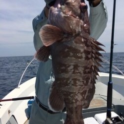 Blue.win 海人丸 釣果