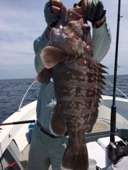 Blue.win 海人丸 釣果