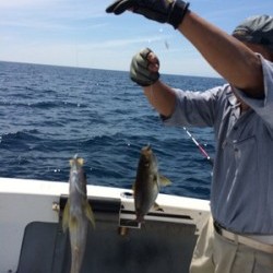 Blue.win 海人丸 釣果