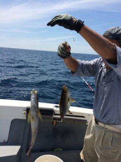 Blue.win 海人丸 釣果