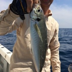 Blue.win 海人丸 釣果