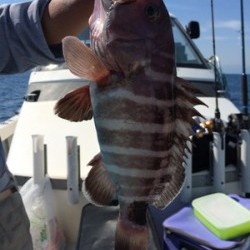 Blue.win 海人丸 釣果