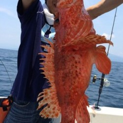 Blue.win 海人丸 釣果