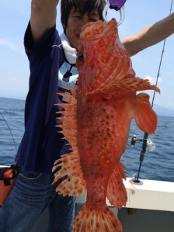 Blue.win 海人丸 釣果