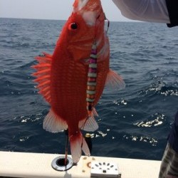 Blue.win 海人丸 釣果