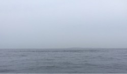 「LaGooN」蒼陽丸 日和号　 釣果