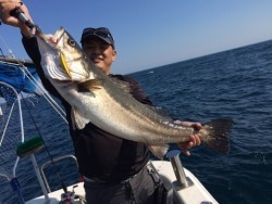 エヌスタイル 釣果