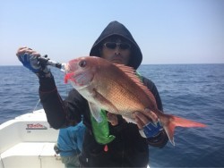 「LaGooN」蒼陽丸 日和号　 釣果