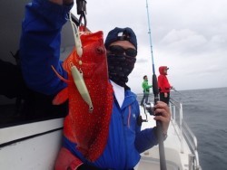 智美丸 釣果