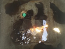 「LaGooN」蒼陽丸 日和号　 釣果