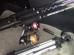 「LaGooN」蒼陽丸 日和号　 釣果