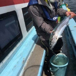 みやけ丸 釣果