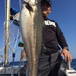 エヌスタイル 釣果
