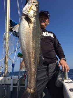 エヌスタイル 釣果