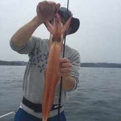 「LaGooN」蒼陽丸 日和号　 釣果