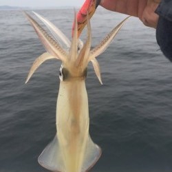「LaGooN」蒼陽丸 日和号　 釣果