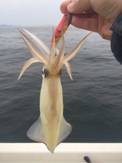 「LaGooN」蒼陽丸 日和号　 釣果