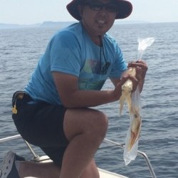 「LaGooN」蒼陽丸 日和号　 釣果