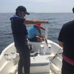 「LaGooN」蒼陽丸 日和号　 釣果