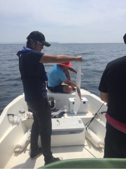 「LaGooN」蒼陽丸 日和号　 釣果