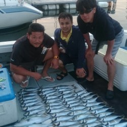 エムズジャーク（M’s JERK） 釣果