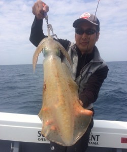 South Current 釣果