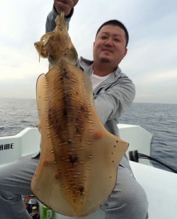 South Current 釣果