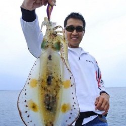 South Current 釣果