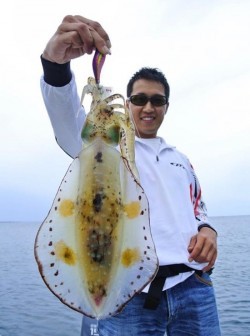 South Current 釣果