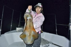 South Current 釣果