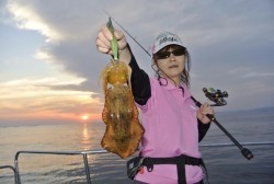 South Current 釣果