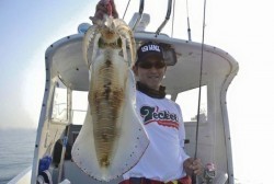 South Current 釣果